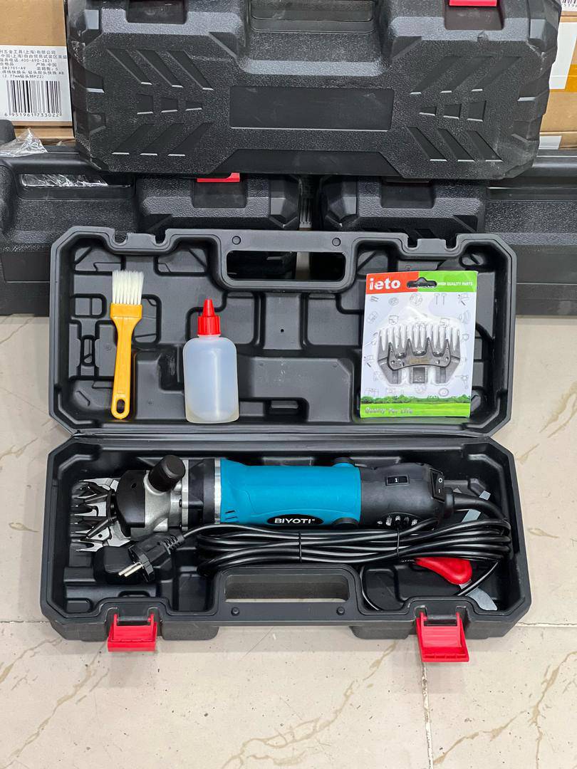 پشم زن برند بیوتی