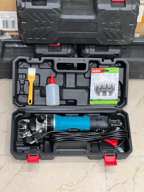 پشم زن برند بیوتی