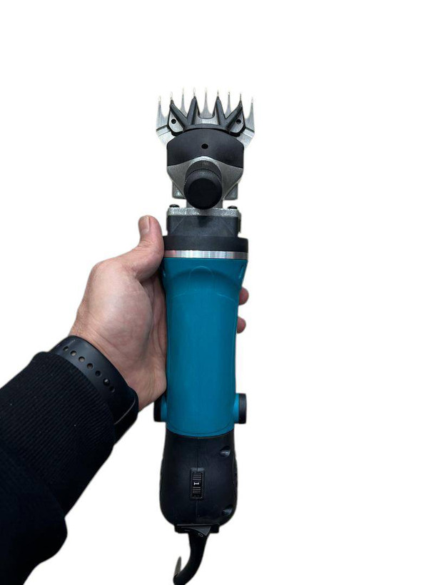 پشم زن برند بیوتی