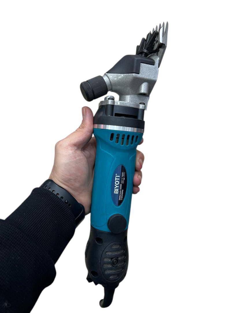 پشم زن برند بیوتی