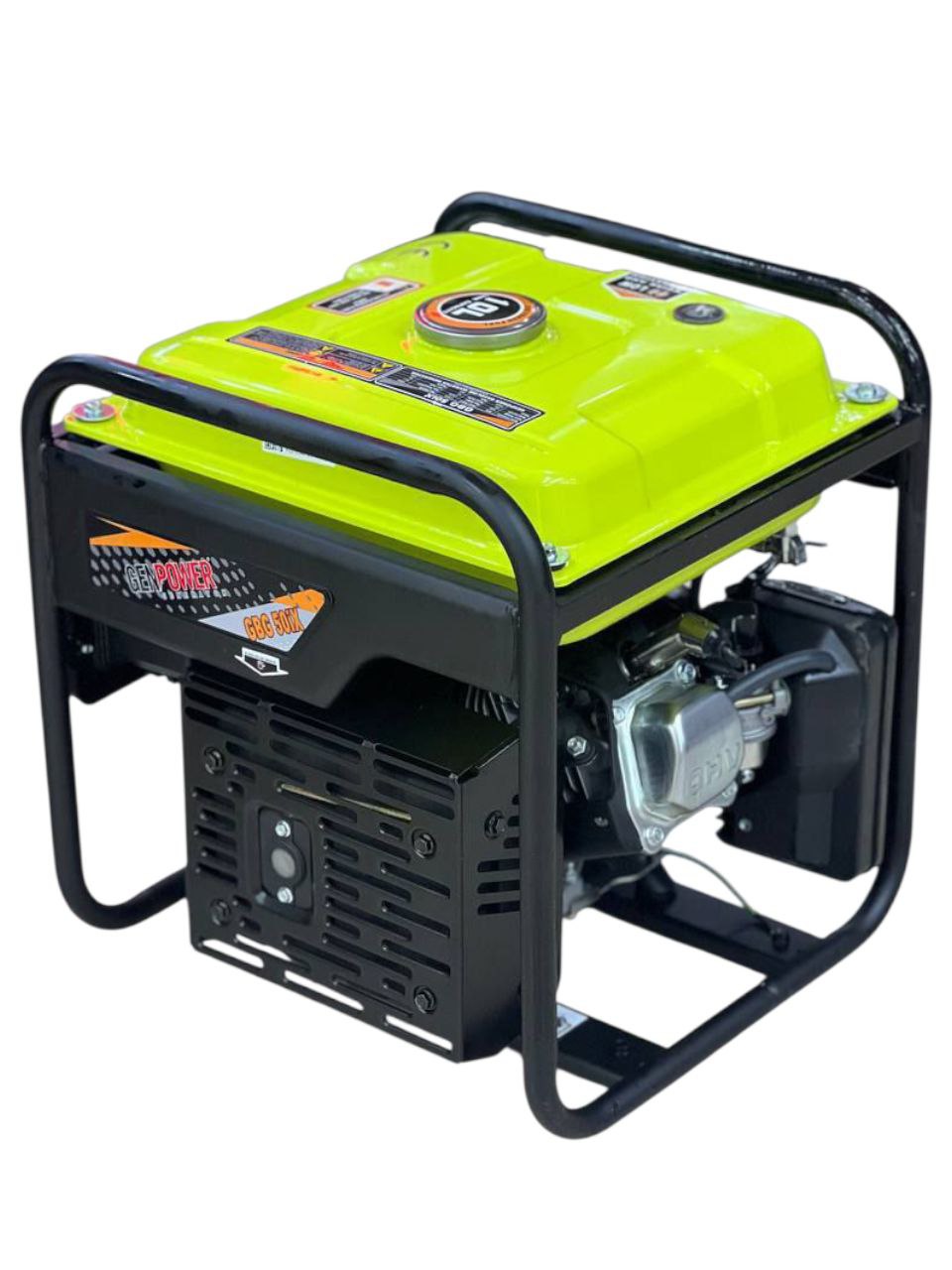 موتور برق اینورتر دار جین پاور