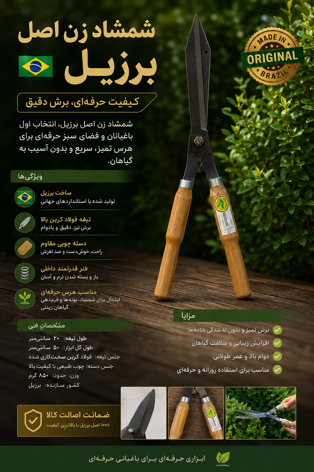 شمشاد زن اصل برزیل – کیفیت حرفه‌ای، برش دقیق و سلامت گیاهان